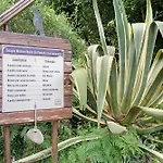Quinta Do Castelo - Casa De Pedra 乡村民宿 Reguengo Grande