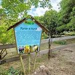 Quinta Do Castelo - Casa De Pedra 乡村民宿 Reguengo Grande