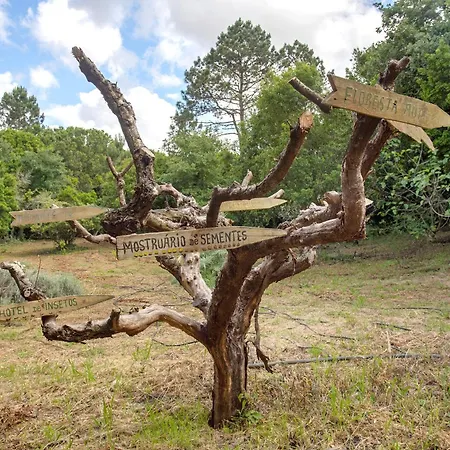 Landsted Quinta Do Castelo - Casa De Pedra Reguengo Grande
