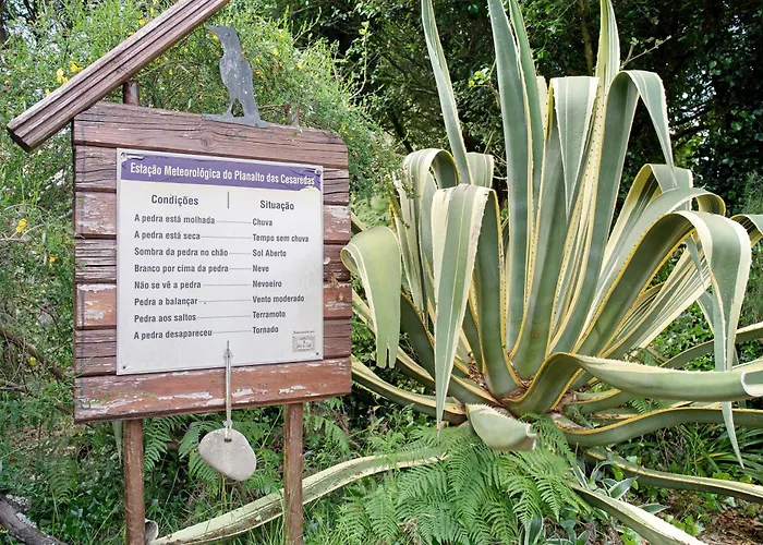 Quinta Do Castelo - Casa De Pedra Landhaus Reguengo Grande
