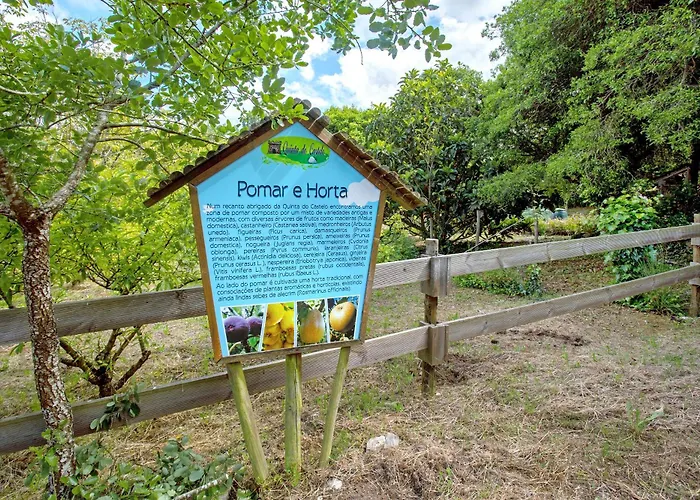 Quinta Do Castelo - Casa De Pedra Casa di campagna Reguengo Grande