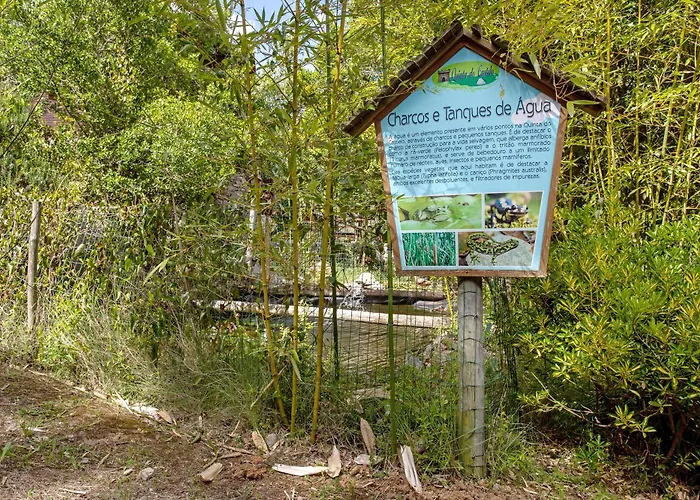 Casa di campagna Quinta Do Castelo - Casa De Pedra Reguengo Grande