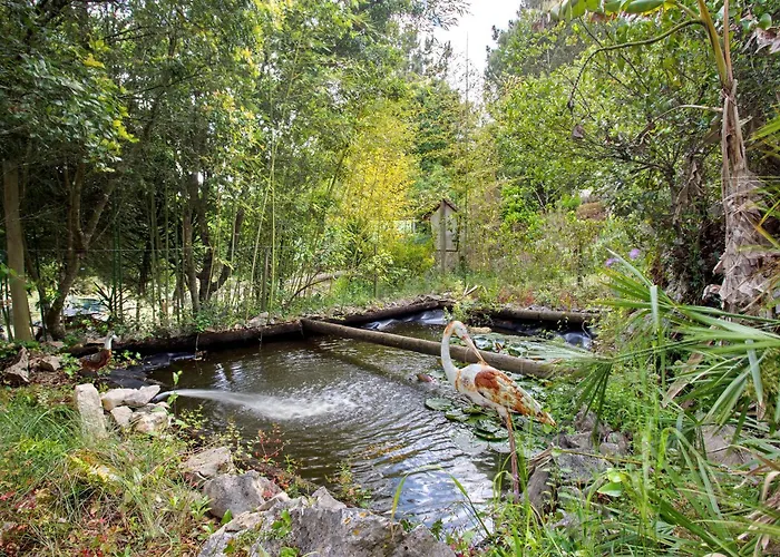 Casa di campagna Quinta Do Castelo - Casa De Pedra *